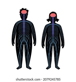 Human Nervous System, In Child Silhouette. Network Of Nerves CNS And PNS Systems. Cerebellum, Brain And Spinal Cord Conducts Impulses To Body Parts. Sensory Receptors Medical Flat Vector Illustration.