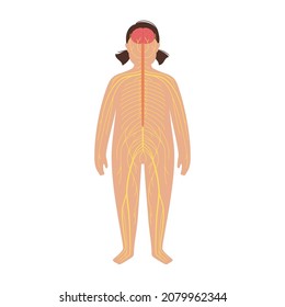 Human Nervous System, In Child Silhouette. Network Of Nerves CNS And PNS Systems. Cerebellum, Brain And Spinal Cord Conducts Impulses To Body Parts. Sensory Receptors Medical Flat Vector Illustration.