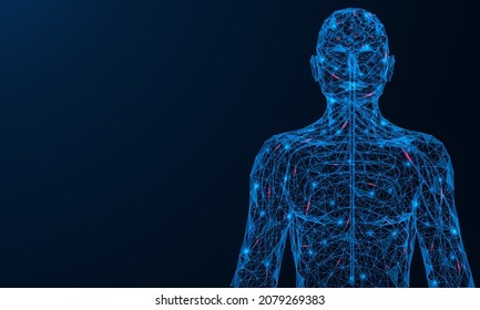 The human nervous system. Nerve impulses spreading through the body. A low-poly construction of interconnected lines and dots. Blue background.