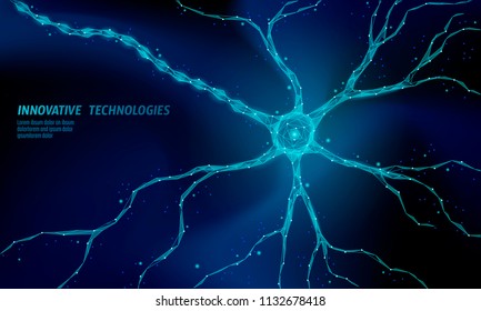 Human neuron low poly anatomy concept. Artificial neural network technology science medicine cloud computing. AI 3D abstract biology system. Polygonal blue glowing vector illustration