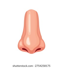 Human Nose Anatomy Illustration Front View Smell Organ Medical Education Icon