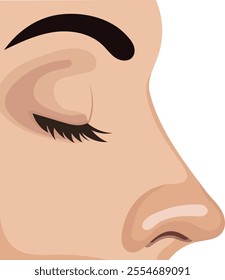Human Nose Anatomy Structure Illustration Isolated on White Background