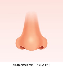 Human Nose Front Profile, Realistic Vector Illustration.