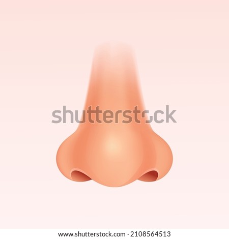 Human Nose Front Profile, Realistic Vector Illustration.