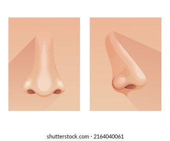 Human Nose - Front And Side View - Stock Illustration As EPS 10 File