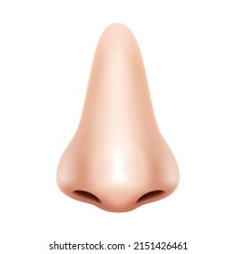 Human Nose front view. Realistic Background Isolated Design Vector 3d Illustration