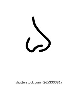 Human nose icon. Nose line icon isolated on white background. Vector icon flat. 
