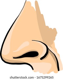 Human nose, illustration, vector on white background.
