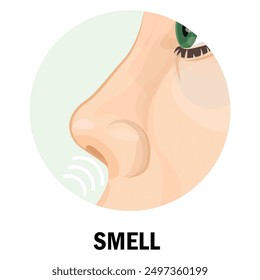 Human nose inhaling some smell. Charm through the nose as one of the five senses. Vector illustration isolated on white background.