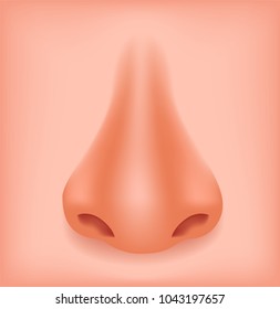 Human nose isolated on white background vector