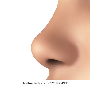 human nose isolated on white background. vector element for medicine and packaging