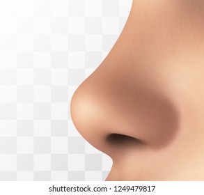 human nose isolated on white background. vector element for medicine and packaging