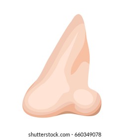 Human Nose Isolated On White/
Illustration of a cartoon human nose, isolated on white background