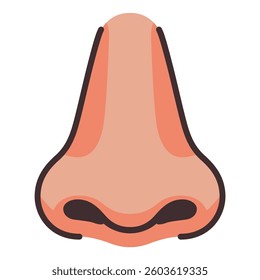 human nose organ biology anatomy flat color vector illustration template design