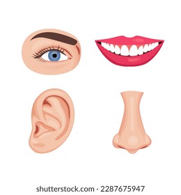 Human nose parts, eyes, mouth and ears set, vector illustration collection