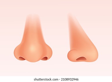 Human Nose Realistic Vector Illustration.