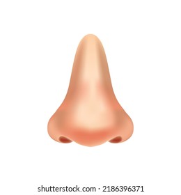 Human nose Realistic vector illustration isolated on a white background. nose anatomy, Part of body icon design vector template suitable for organization, company, or community. EPS 10