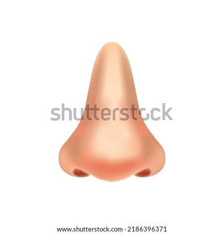 Human nose Realistic vector illustration isolated on a white background. nose anatomy, Part of body icon design vector template suitable for organization, company, or community. EPS 10
