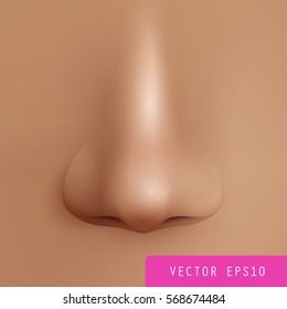 Human nose vector illustration