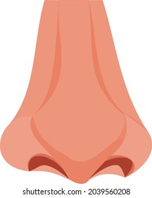 Nariz humana, diseño de icono de ilustración vectorial