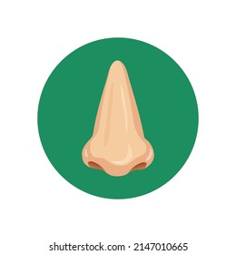 Human nose vector illustration icon design. Realistic nose in the round background. Best used for healthcare and ent specialist care. 
