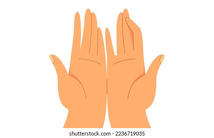 palmas abiertas humanas, sujetar, mostrar, demostrar, ilustración plana vectorial aislada en fondo blanco