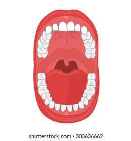 human oral cavity illustration on the white background. Moth anatomy.oral health illustration