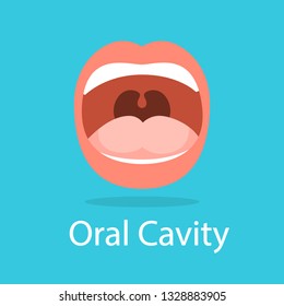 Human oral cavity. Opened mouth. Idea of dental and oral care. Lips, tongue and teeth. Isolated flat vector illustration