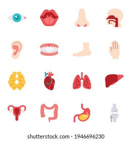 Human organ or body parts icon set1. Vector illustration isolated on white background.
