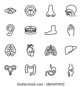 Human organ or body parts icons set with white background. Thin line style stroke vector. 