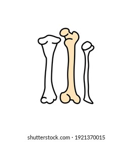 Human organ bone color line icon. Pictogram for web page, mobile app, promo. UI UX GUI design element. Editable stroke.