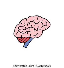 Human organ brain color line icon. Pictogram for web page, mobile app, promo. UI UX GUI design element. Editable stroke.