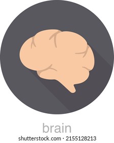 Human organ brain flat design icon, vector illustration