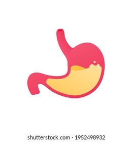 Human organ collection. Digestion system. Vector flat anatomical icon illustration. Red stomach with acid liquid isolated on white background. Health care sign. Gastric and reflux symbol.