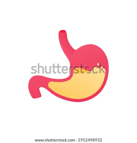 Human organ collection. Digestion system. Vector flat anatomical icon illustration. Red stomach with acid liquid isolated on white background. Health care sign. Gastric and reflux symbol.