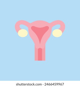 Colección de órganos humanos. Ilustración de color de Vector plano moderno. Anatomía del aparato reproductor femenino para ginecología. Vagina, cuello uterino, útero, trompas de Falopio.