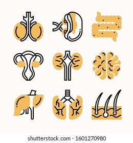 Human Organ of Color vector icons