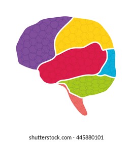 Human organ concept represented by brain icon. isolated and flat illustration 