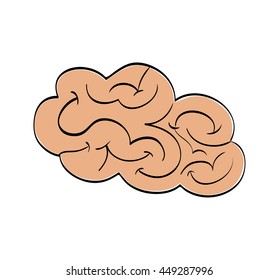 human organ concept represented by brain icon. isolated and flat illustration 