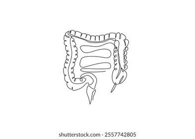 Human organ digestive in continuous one line drawing. Editable vector.