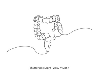 Human organ digestive in continuous one line drawing. Editable vector.