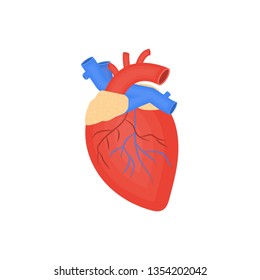 Human Organ Flat Icon, Human Heart, Anatomy, Arteries And Veins, Medicine Vector Illustration