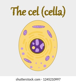 human organ icon in flat style cell