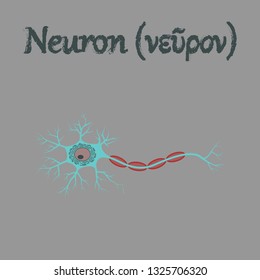 human organ icon in flat style neuron