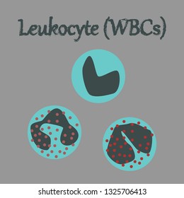 human organ icon in flat style leukocyte