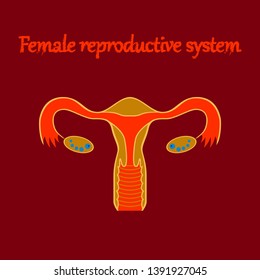 human organ icon in flat style female reproductive system