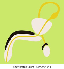 human organ icon in flat style Male Reproductive System