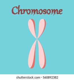 human organ icon in flat style chromosome