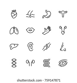 Human organ icon set. Collection of high quality black outline logo for web site design and mobile apps. Vector illustration on a white background.