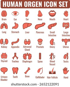 O HUMAN ORGAN ICON SET apresenta ícones minimalistas detalhados de órgãos do corpo humano perfeito para saúde médica e projetos educacionais